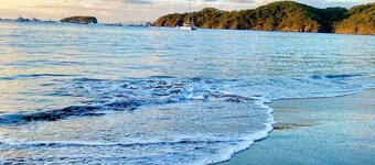 Sunny Tropical condo and rooftop terrace