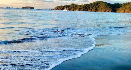 Sunny Tropical condo and rooftop terrace