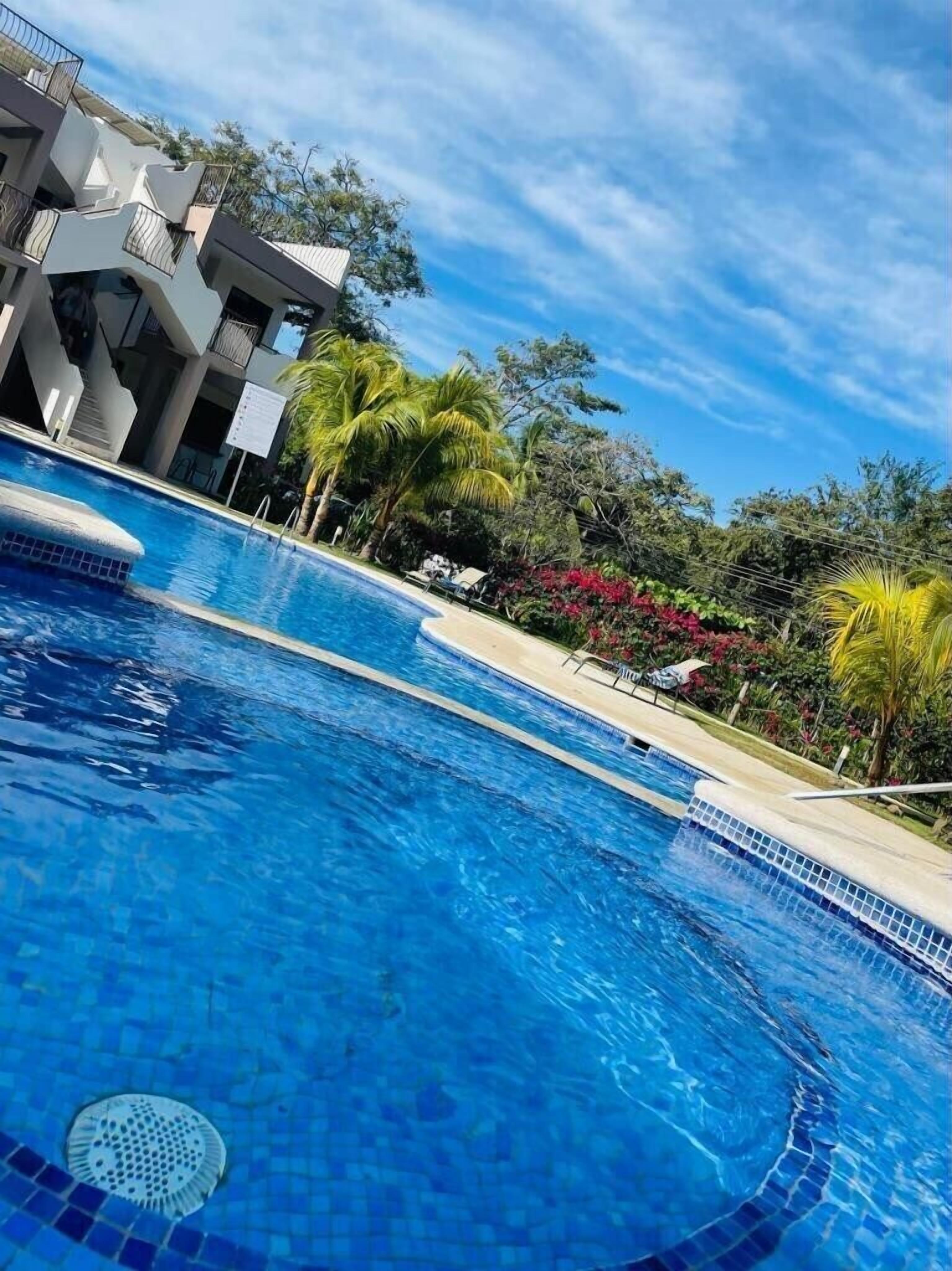Une piscine à l’eau cristalline, entourée de plantes tropicales et bordée d’un bâtiment moderne doté de balcons.