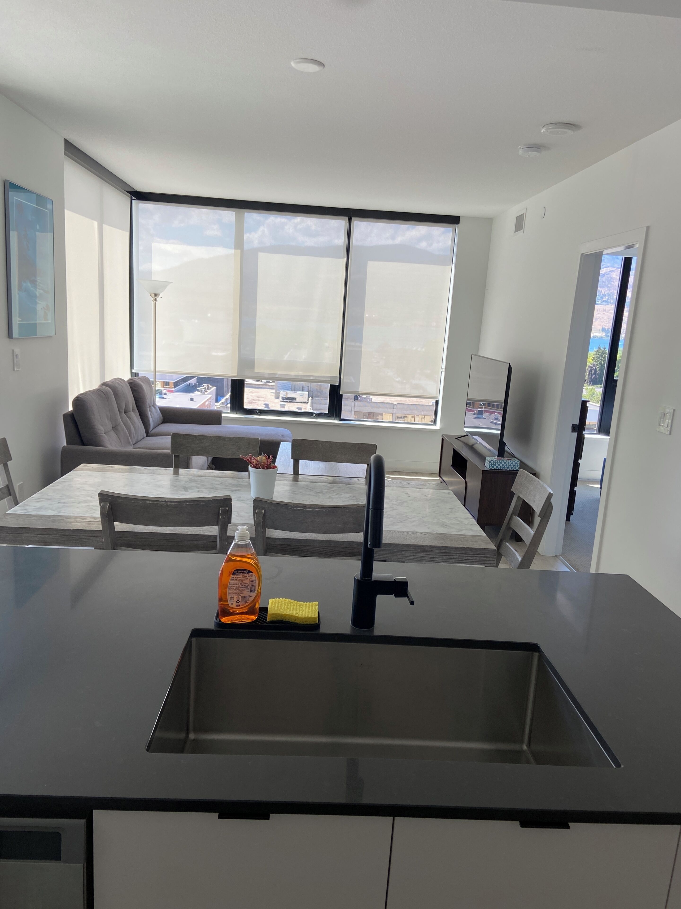 Downtown Lakeview Luxe,  Kelowna, British Columbia - Kelowna