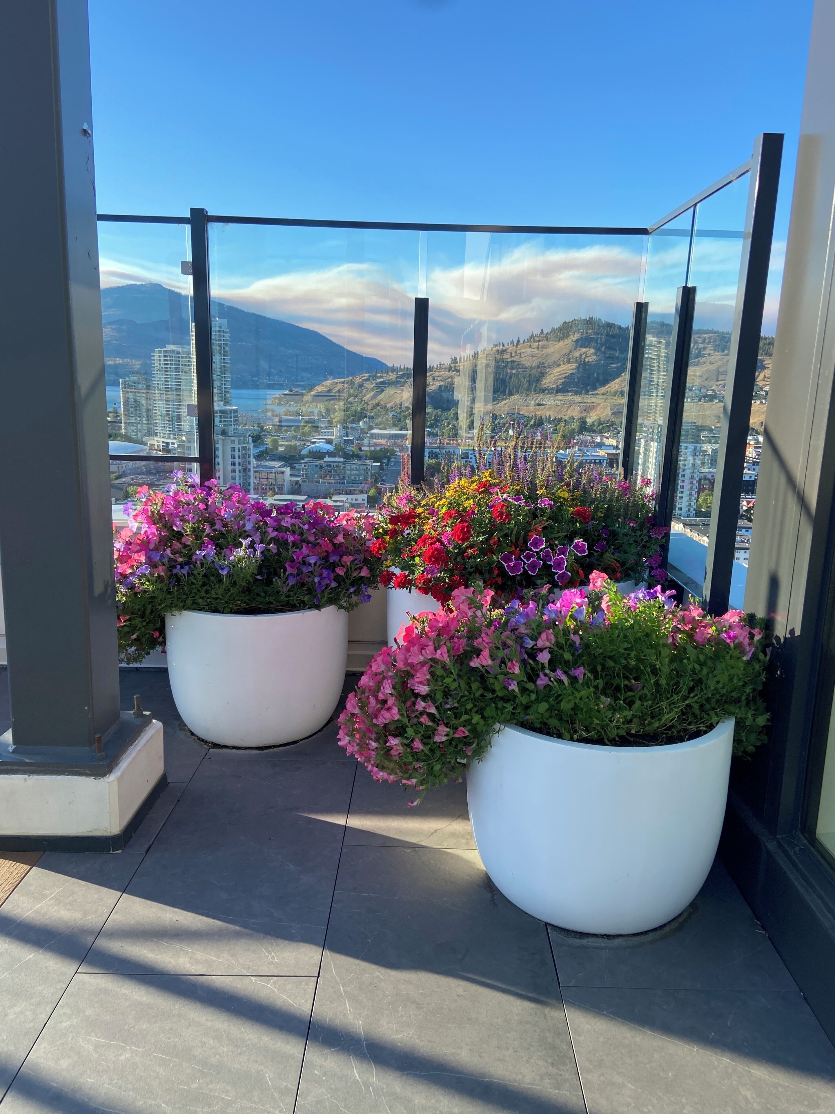 Ein Balkon mit großen weißen Blument öpfen und Blick auf die Stadt.