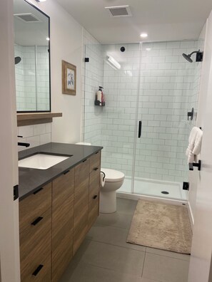 Douche, séchoir à cheveux, serviettes fournies, savon
