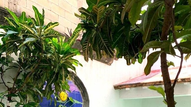 Unclassified image, 1 of 14, button - La Gloria  (Cancun)