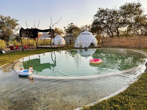 A swimming pool with clear water, surrounded by a grassy area and trees. There are two white dome-shaped structures in the background.