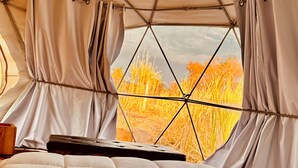 A tented room with a bed, curtains, and a view of autumn foliage. - Glamping Xochitepec (Xochitepec)