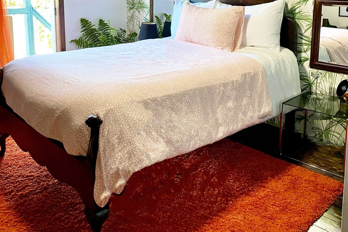 A bedroom with a bed, a ceiling fan, a window, and a plant.
