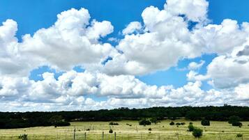 Ein Feld mit Zaun, Bäumen und blauem Himmel.