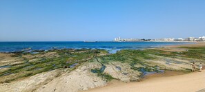 A coastal landscape with rocky terrain, a sandy beach, and a distant cityscape.