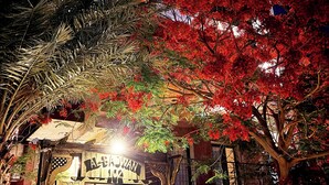 Un edifici amb un balcó, una porta de fusta i un arbre de fulles vermelles.