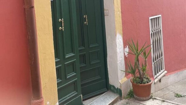 A green double door with a small window above it, a potted plant beside the door, and a metal gate to the right. - Country house, surrounded by greenery and nature. Great for relaxation (Camaiore)