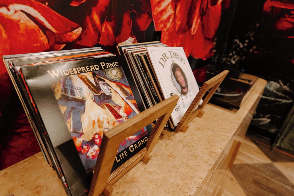 A CD rack with albums titled 'Widespread Panic' and 'Dr. Dre.'
