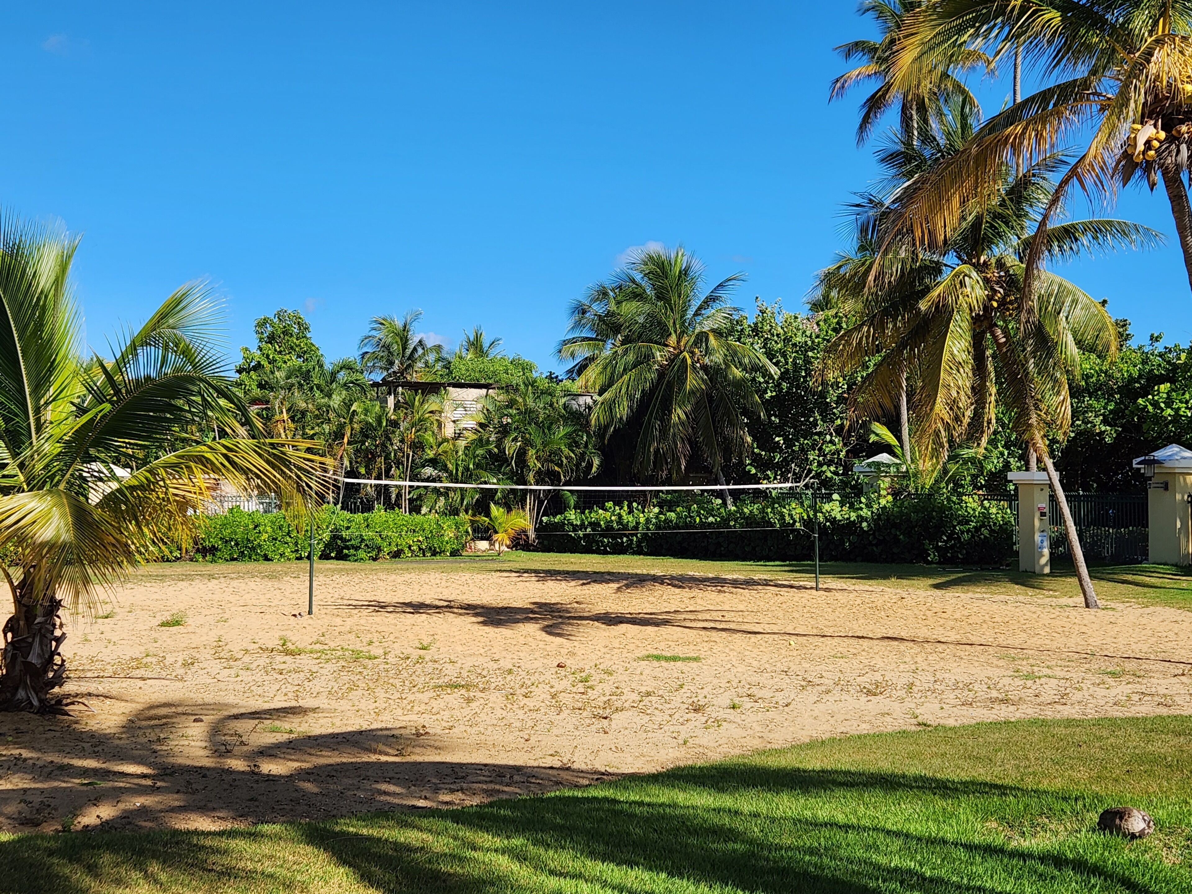 A sandy volleyball court surrounded by palm trees and greenery.