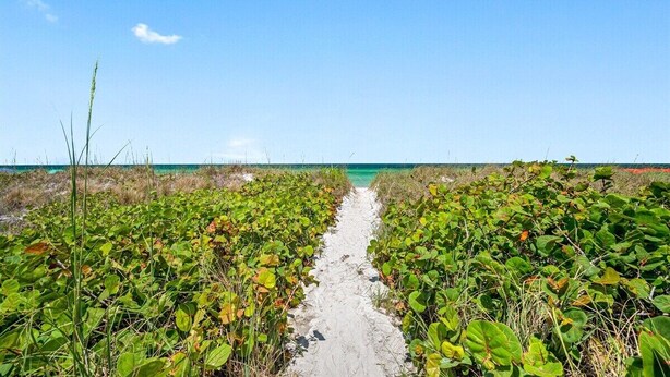 Uma trilha de areia que leva a uma praia, com vegetação verde densa em ambos os lados.