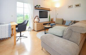 Fernseher