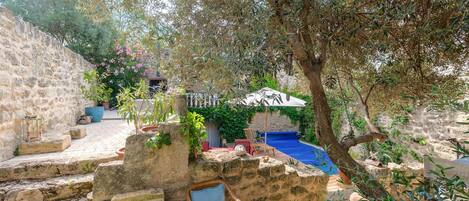 المنطقة المحيطة بالمنشأة