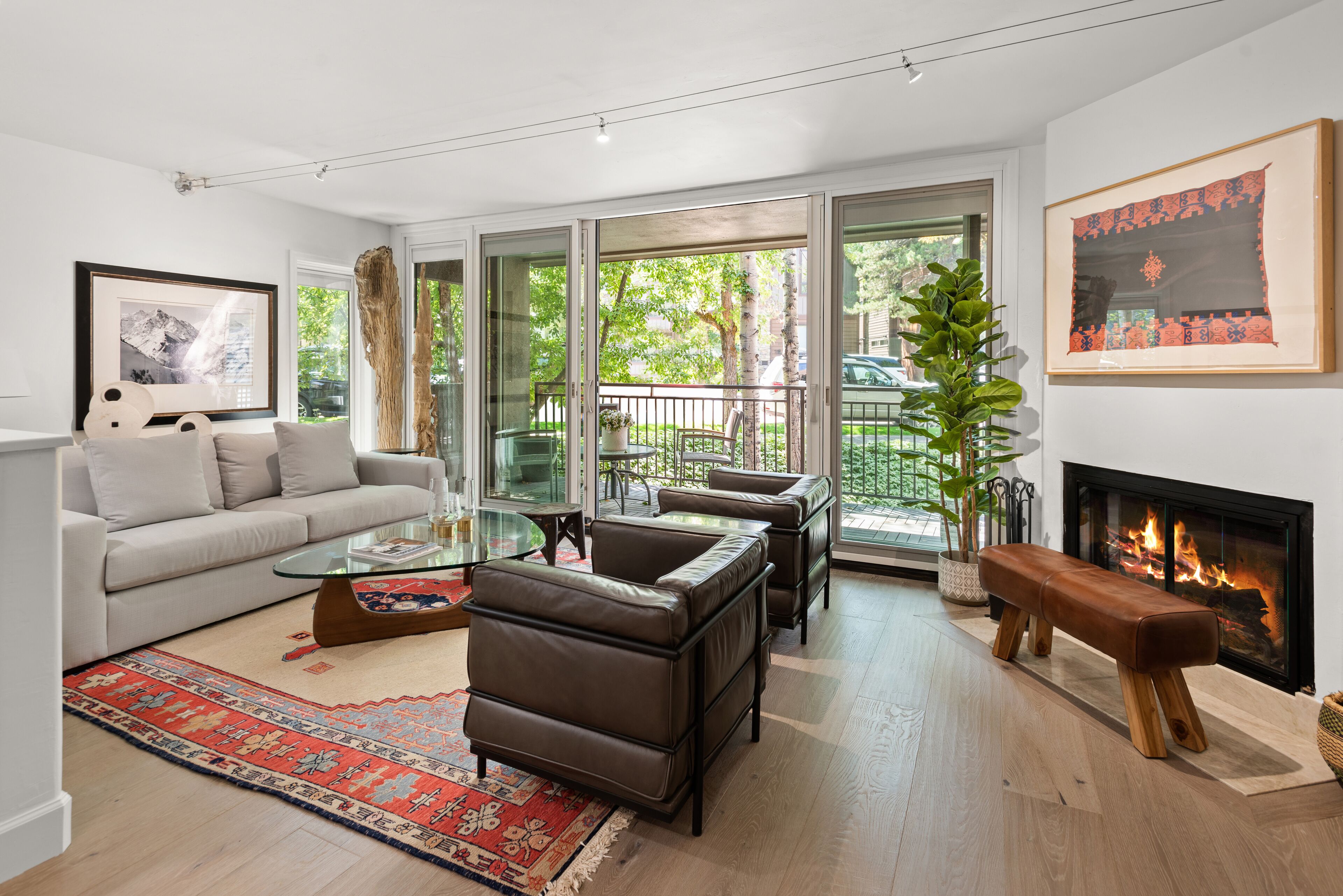 COZY LARKSPUR CONDO