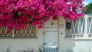 Un bâtiment blanc avec une entrée fermée par un portail, une fenêtre ornée d’une grille décorative et une glycine rose retombante.