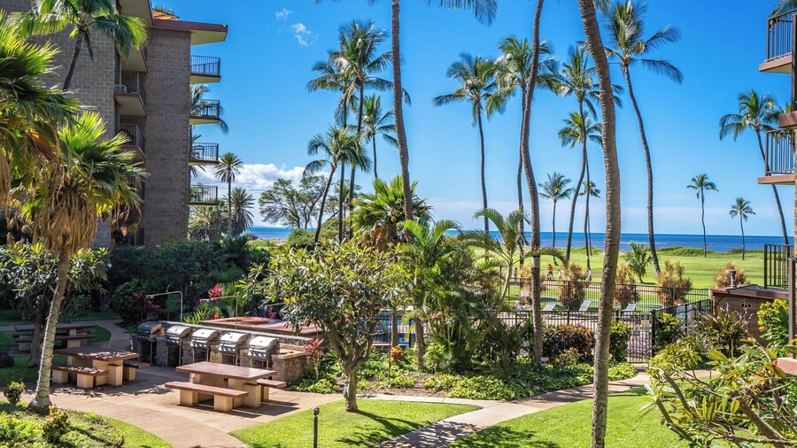 Oceanfront Penthouse Vistas
