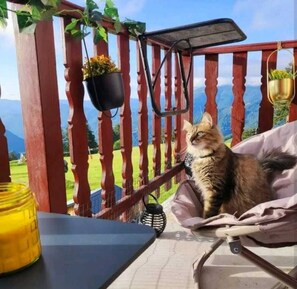 Property grounds - Superbe Loft Cocooning en Montagne Avec Balcon (Ustou)