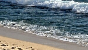 A beach with waves, a clear sky, and distant mountains.