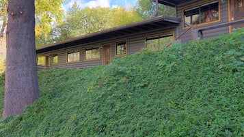 Kabin, 1 kamar tidur | Eksterior