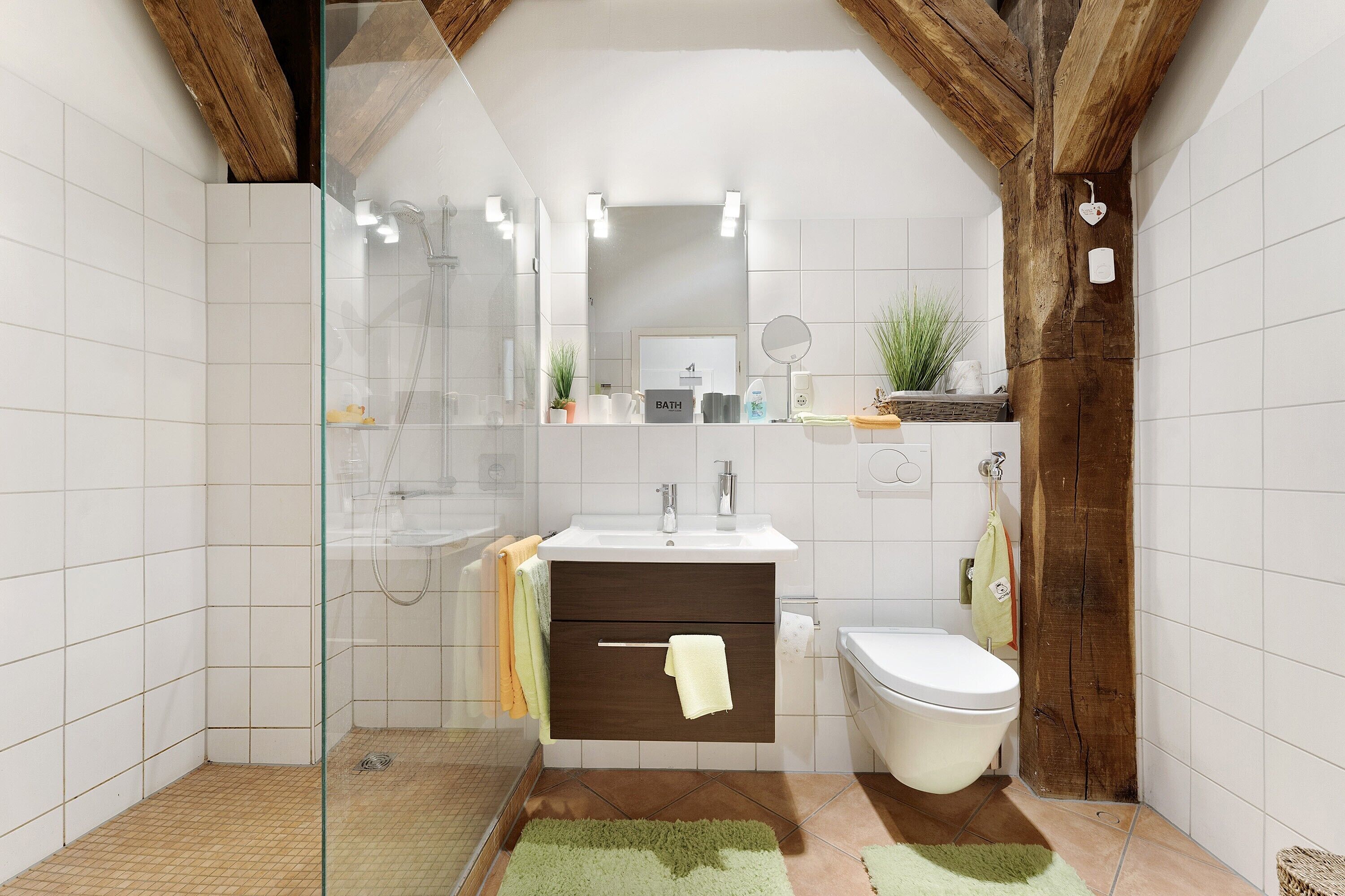 Shower, hair dryer, towels