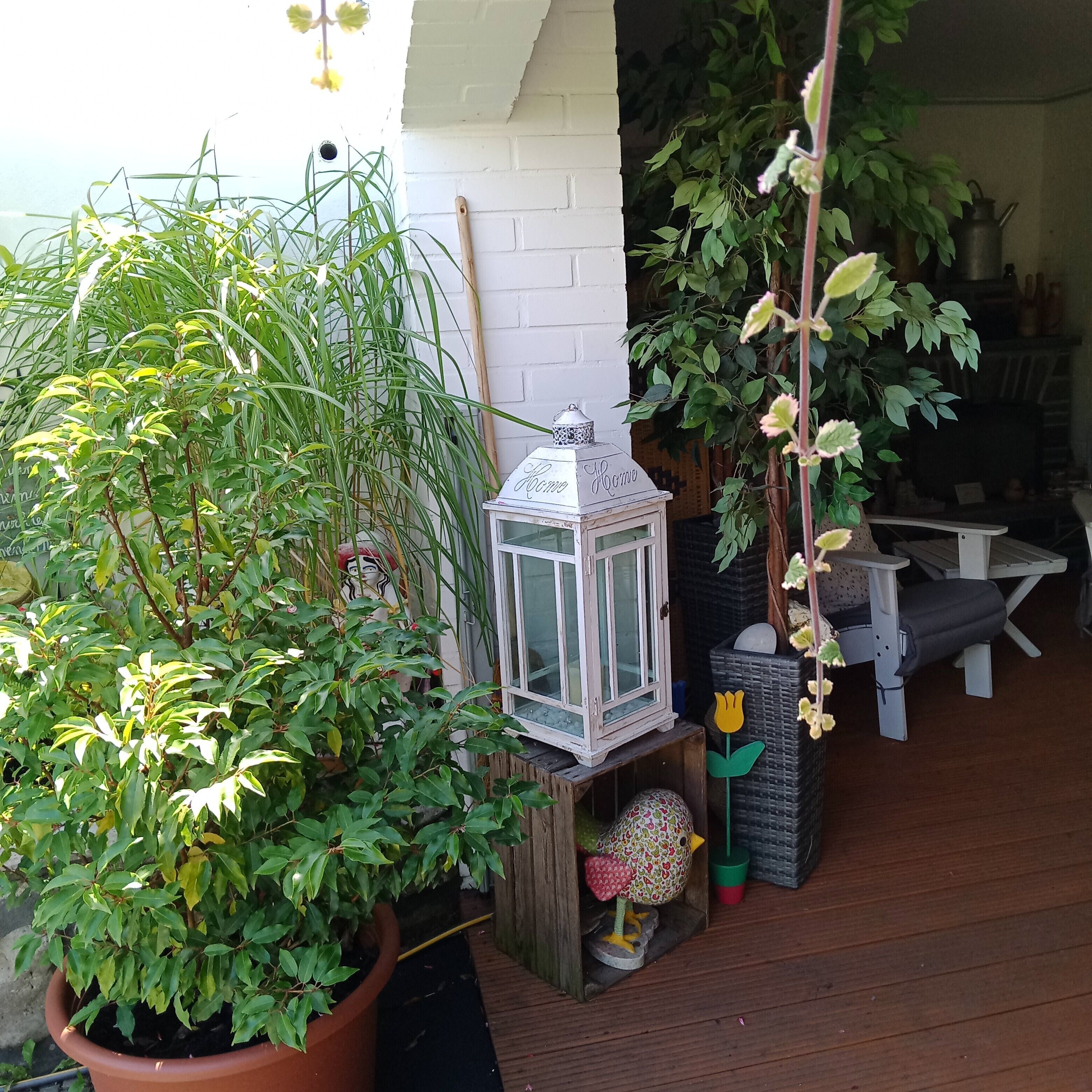 A wooden deck with potted plants, a white lantern, and a small birdhouse.