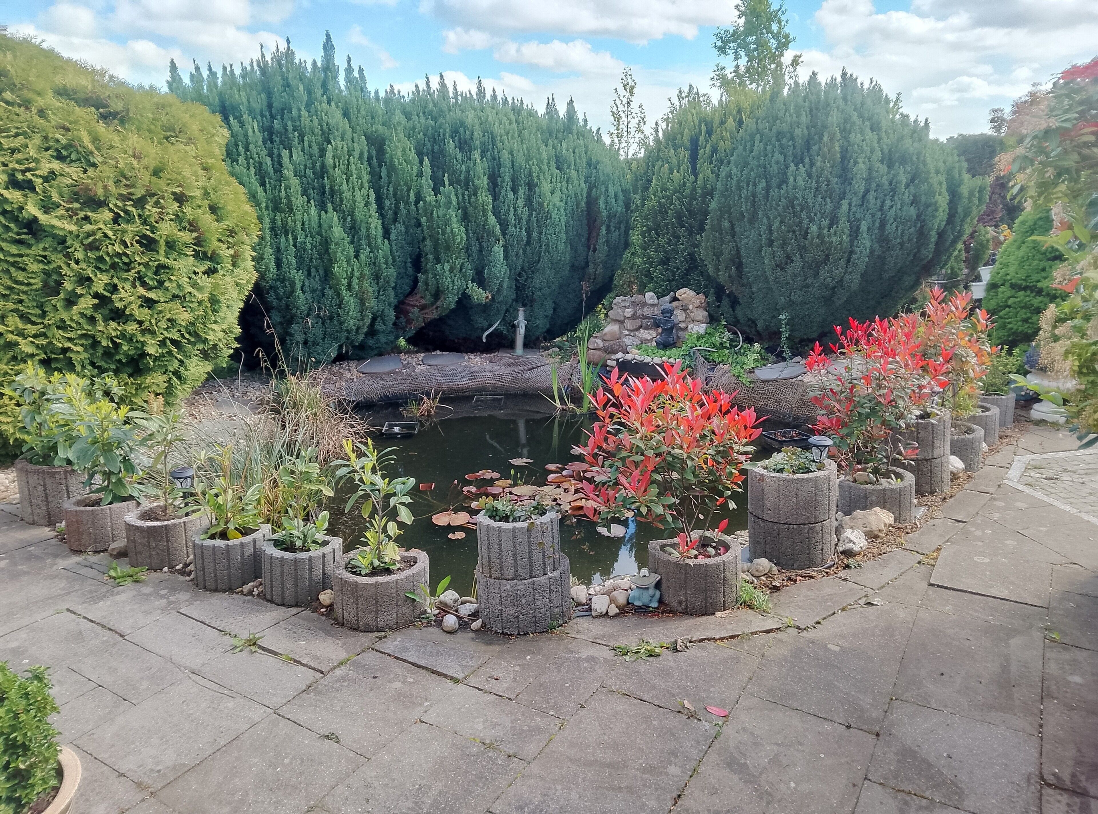 Área da propriedade