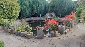 Un jardín con un estanque, plantas en macetas y un sendero de piedra.