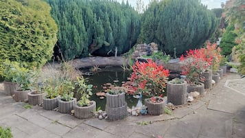 Área da propriedade