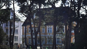 A beachfront property with a sandy foreground, tall trees, and a row of multi-story buildings with balconies. - Apartment "Villa Adler - Seeblick" with Lake View (Seebad Ahlbeck)