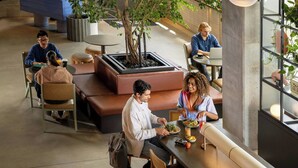 A modern indoor dining area with a central tree, seating arrangements, and a view through large windows. - Moxy Sydney Airport (Mascot)