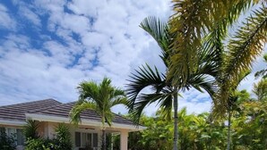 A paved driveway leading to a house with a tiled roof, surrounded by lush greenery and palm trees.