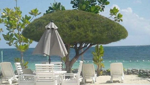 A beachside lounge with white lounge chairs and a large umbrella, overlooking the sea.