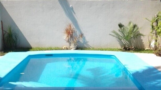 A swimming pool with a clear blue water surface, surrounded by a concrete deck and some greenery. - Casa Mamá Maya   (Puerto Escondido)