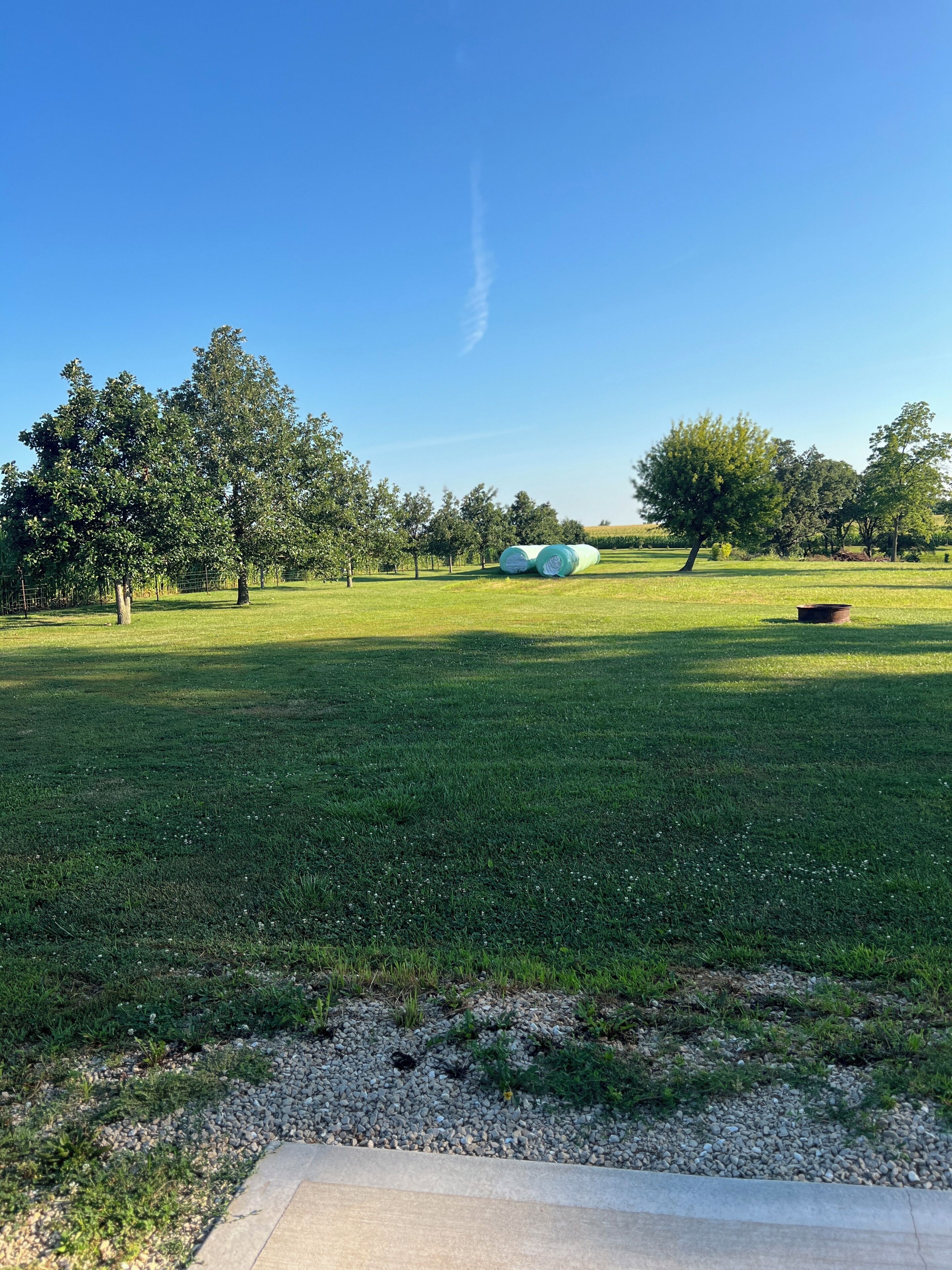 A grassy field with trees and hay bales.