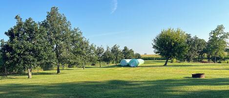 A grassy field with trees and hay bales.