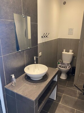 Features a sleek vessel sink, toilet, and mirror in a minimalist design.