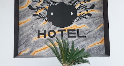 Hotel Axolotl