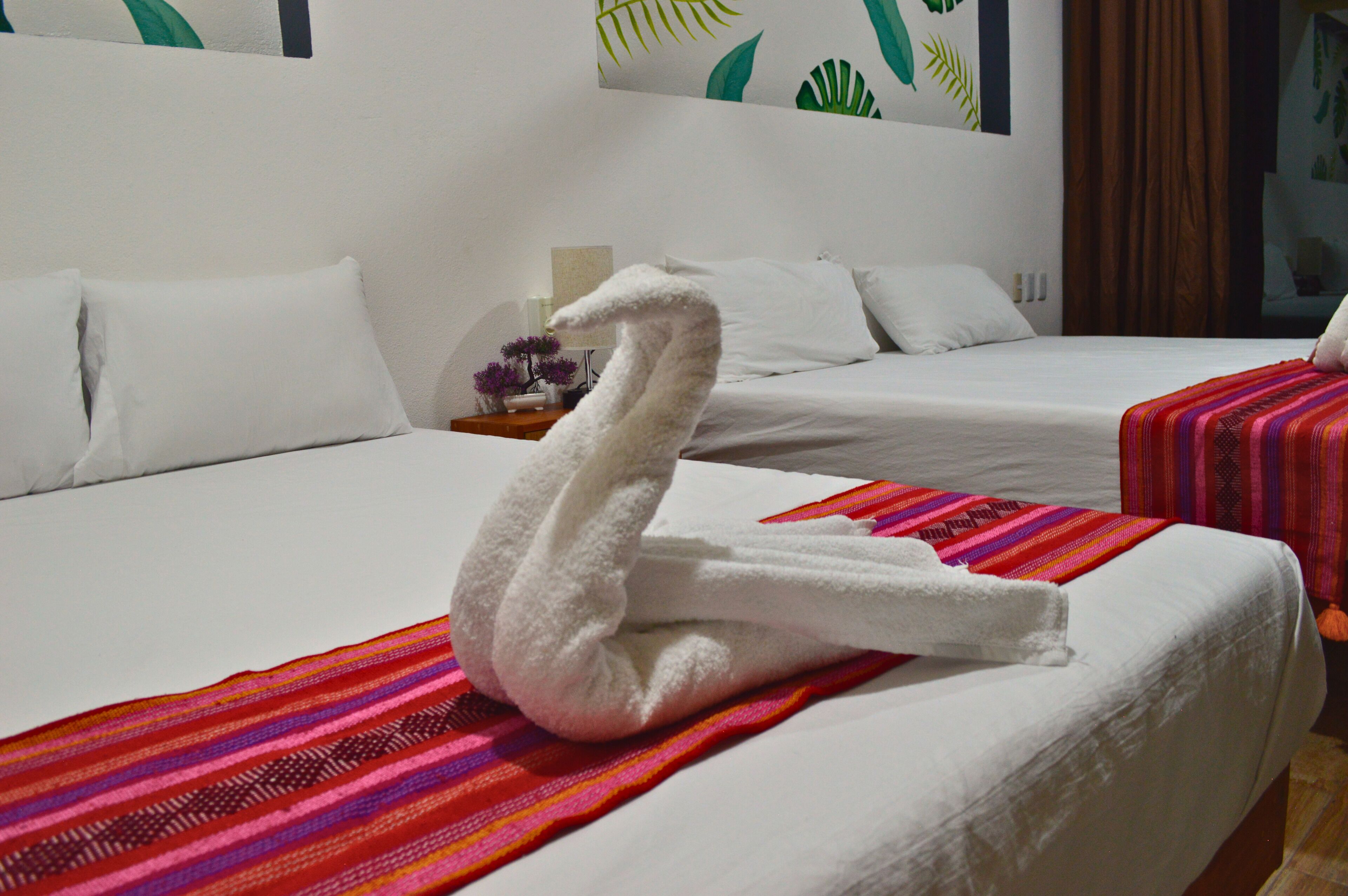 Photo - Hotel Axolotl