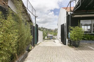 Un estrecho callejón con sendero de ladrillo, plantas de bambú a la izquierda y un edificio con fachada negra y ventanas amplias a la derecha.