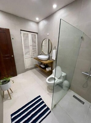 Shower, hair dryer, towels, soap