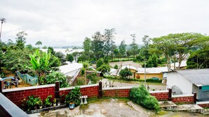 A residential area with houses, a red brick wall, and a satellite dish.