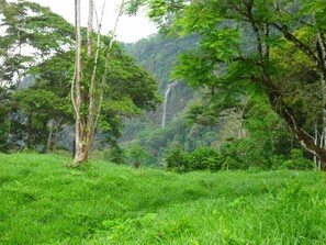 Property grounds - Beautiful Log Cabin in Tinamaste with stunning views of waterfall and forest (San Isidro de El General)