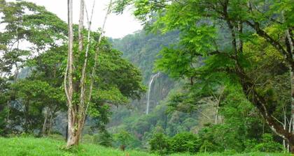 Beautiful Log Cabin in Tinamaste with stunning views of waterfall and forest