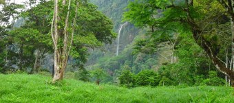 Beautiful Log Cabin in Tinamaste with stunning views of waterfall and forest