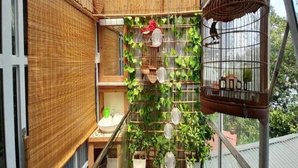 A balcony with a bamboo wall, a birdcage, and potted plants. - Green Homestay Ha Noi (Hanoi)