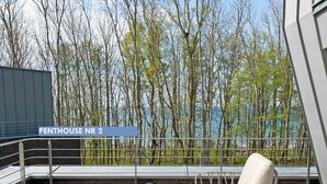 Une terrasse sur le toit, avec deux chaises longues et une table, d’où l’on peut admirer une forêt et un plan d’eau.