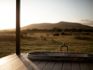Property grounds - Michael the Tiny Cabin in Esperance (Esperance)