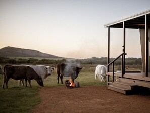 Property grounds - Michael the Tiny Cabin in Esperance (Esperance)